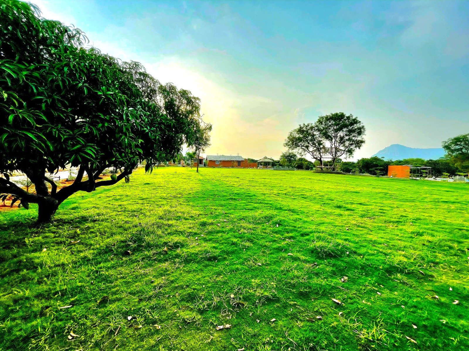 Expansive green resort lawn beneath a blue sky